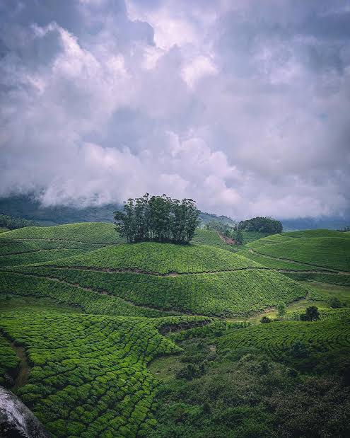 famous points in munnar 